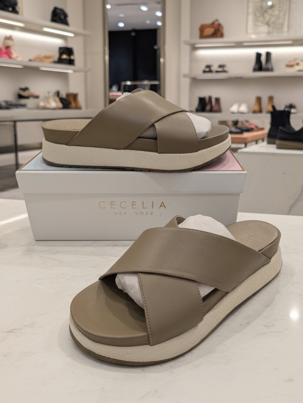 Cecelia New York Uma Dune Women's Sz 9.5 B Sandals Slide New With Box